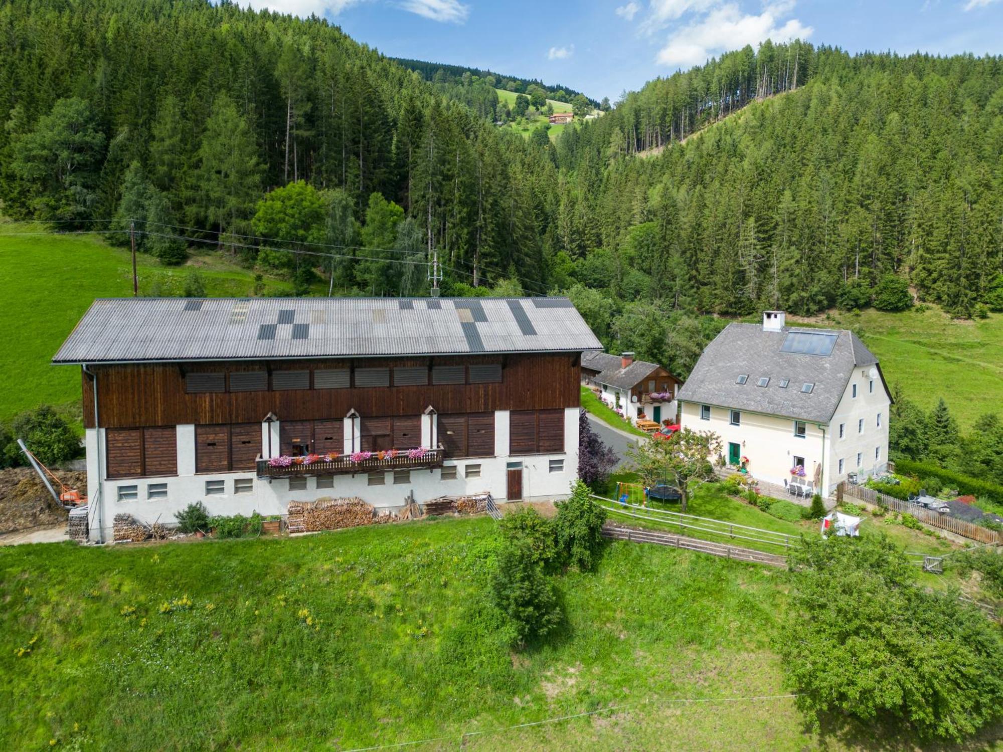 Hochfelner-Prutti - Stockerhof Villa Sankt Marein bei Knittelfeld Exterior photo